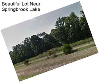 Beautiful Lot Near Springbrook Lake