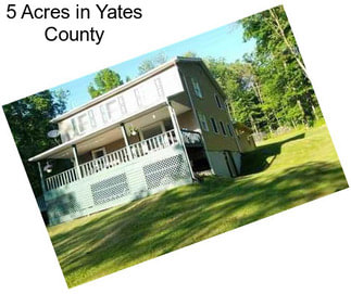 5 Acres in Yates County