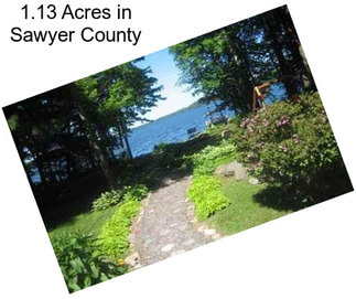 1.13 Acres in Sawyer County