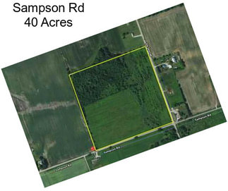 Sampson Rd 40 Acres