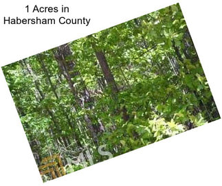 1 Acres in Habersham County