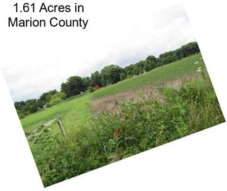 1.61 Acres in Marion County