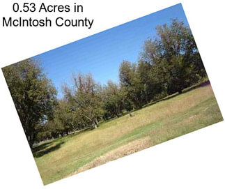 0.53 Acres in McIntosh County