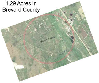 1.29 Acres in Brevard County