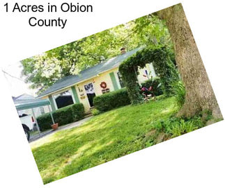 1 Acres in Obion County