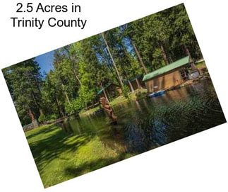 2.5 Acres in Trinity County