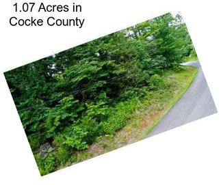 1.07 Acres in Cocke County