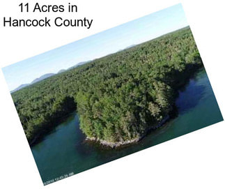 11 Acres in Hancock County