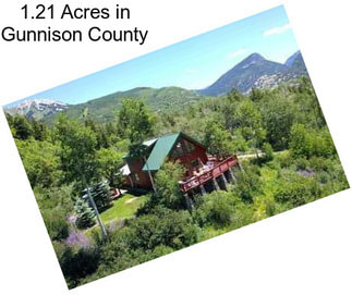 1.21 Acres in Gunnison County