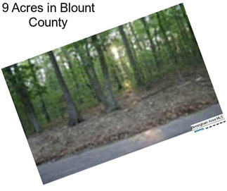 9 Acres in Blount County