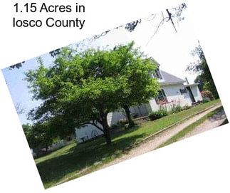 1.15 Acres in Iosco County