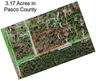 3.17 Acres in Pasco County