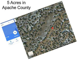 5 Acres in Apache County