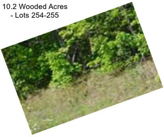 10.2 Wooded Acres - Lots 254-255