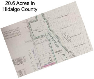 20.6 Acres in Hidalgo County