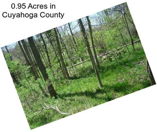 0.95 Acres in Cuyahoga County