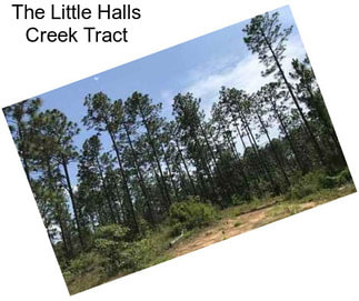 The Little Halls Creek Tract