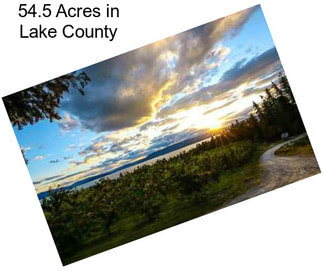 54.5 Acres in Lake County