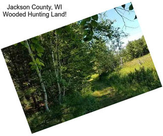 Jackson County, WI Wooded Hunting Land!