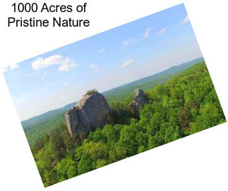 1000 Acres of Pristine Nature