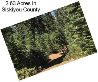 2.63 Acres in Siskiyou County