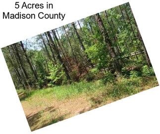 5 Acres in Madison County