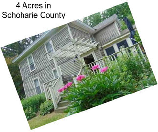 4 Acres in Schoharie County
