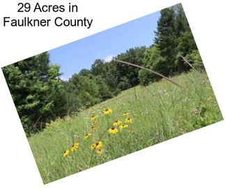 29 Acres in Faulkner County