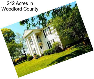 242 Acres in Woodford County