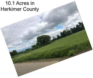 10.1 Acres in Herkimer County