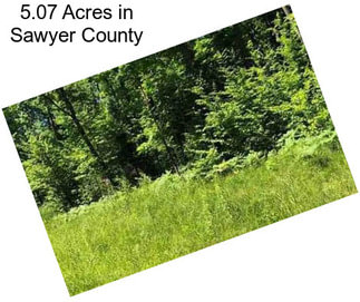 5.07 Acres in Sawyer County