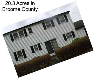 20.3 Acres in Broome County