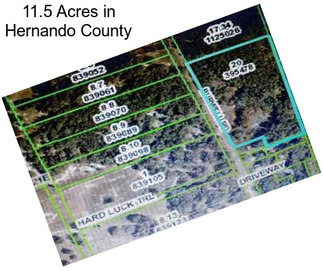 11.5 Acres in Hernando County