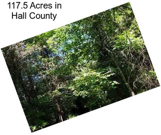 117.5 Acres in Hall County