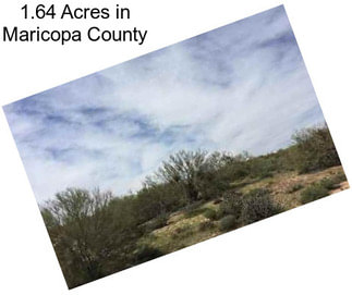 1.64 Acres in Maricopa County