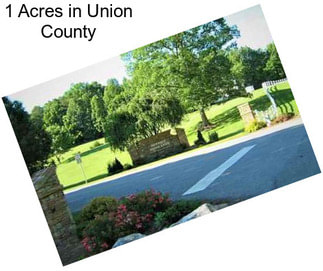 1 Acres in Union County