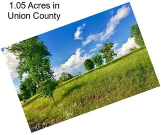 1.05 Acres in Union County