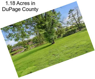 1.18 Acres in DuPage County