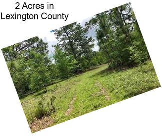 2 Acres in Lexington County