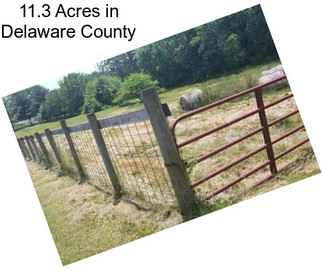 11.3 Acres in Delaware County