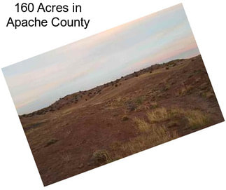 160 Acres in Apache County