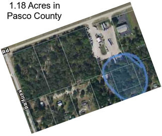 1.18 Acres in Pasco County