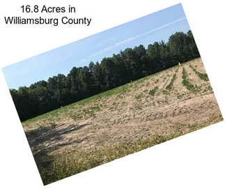 16.8 Acres in Williamsburg County