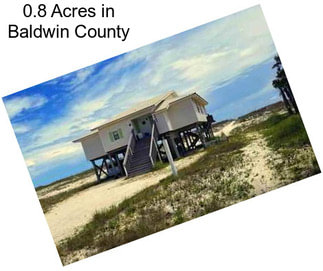 0.8 Acres in Baldwin County