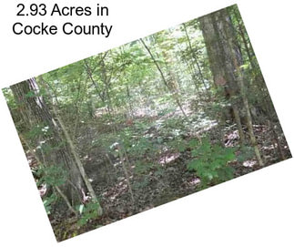 2.93 Acres in Cocke County