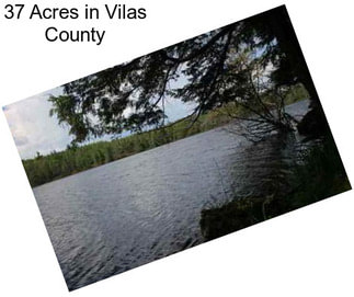 37 Acres in Vilas County