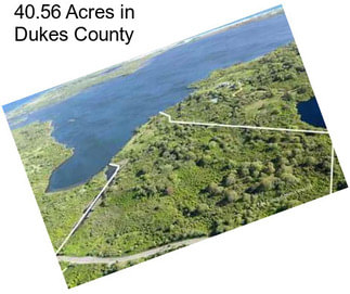 40.56 Acres in Dukes County