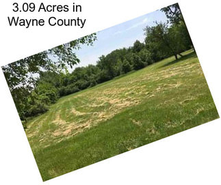 3.09 Acres in Wayne County