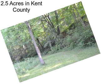 2.5 Acres in Kent County