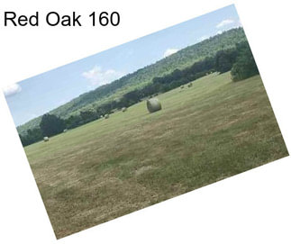 Red Oak 160